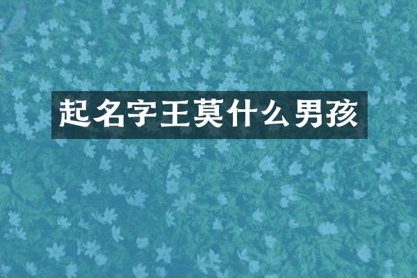 起名字王莫什么男孩