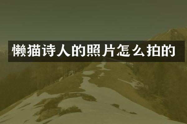 懒猫诗人的照片怎么拍的