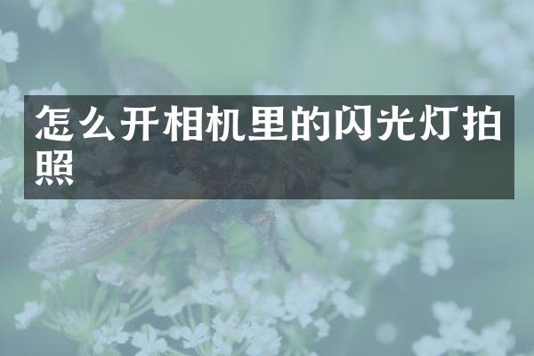 怎么开相机里的闪光灯拍照