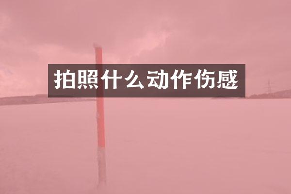 拍照什么动作伤感