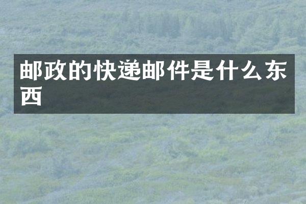 邮政的快递邮件是什么东西