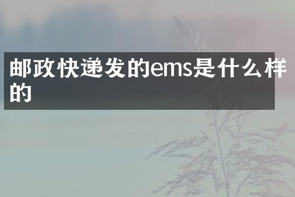邮政快递发的ems是什么样的