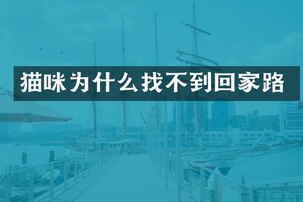 猫咪为什么找不到回家路