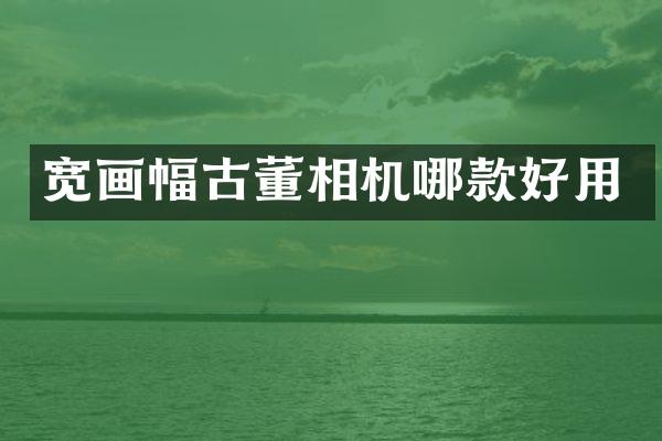 宽画幅古董相机哪款好用