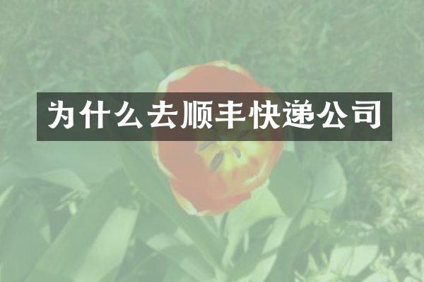 为什么去顺丰快递公司