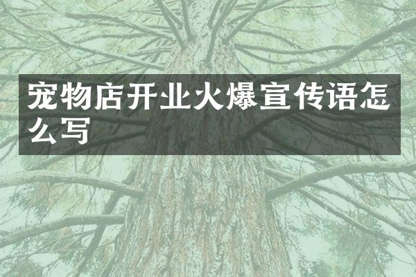 宠物店开业火爆宣传语怎么写
