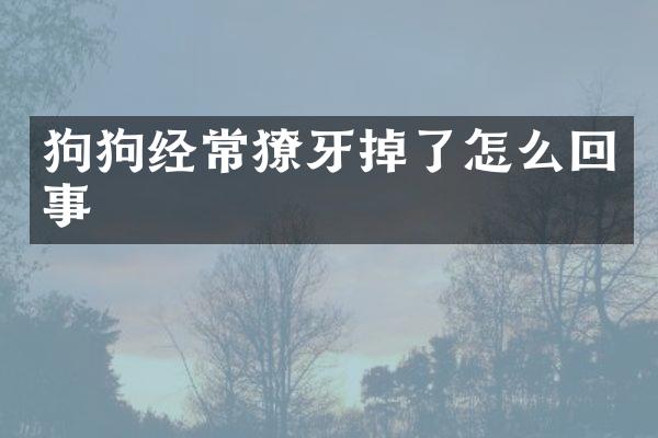 狗狗经常獠牙掉了怎么回事