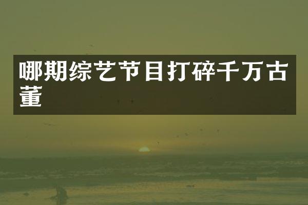 哪期综艺节目打碎千万古董