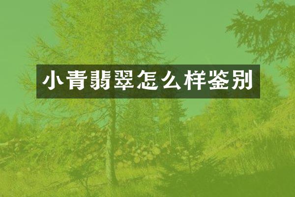 小青翡翠怎么样鉴别