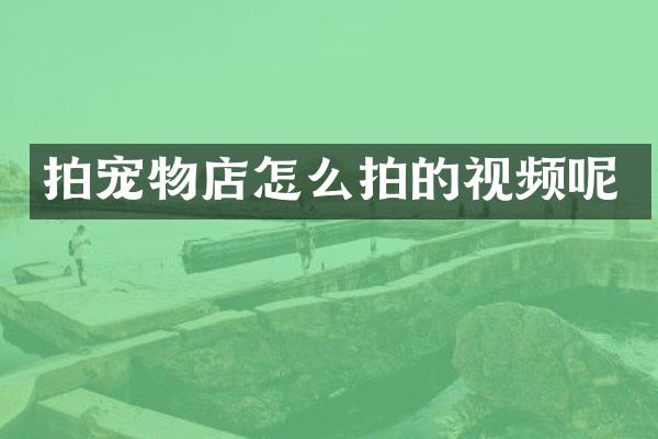 拍宠物店怎么拍的视频呢