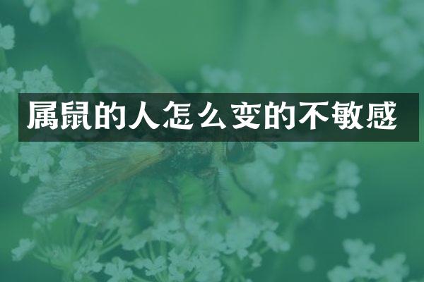 属鼠的人怎么变的不敏感