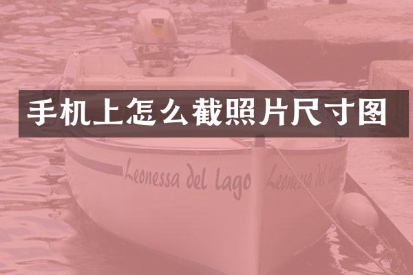 手机上怎么截照片尺寸图