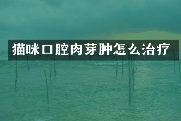猫咪口腔肉芽肿怎么治疗