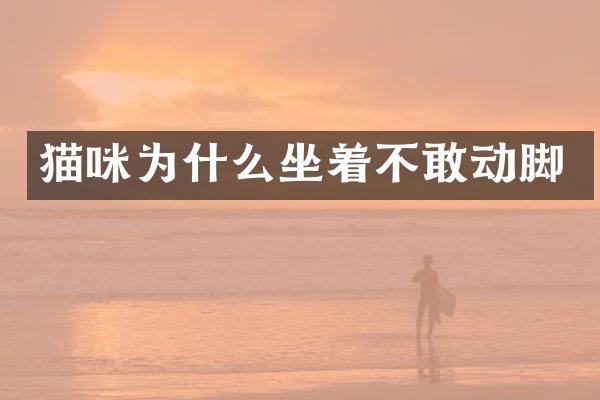 猫咪为什么坐着不敢动脚