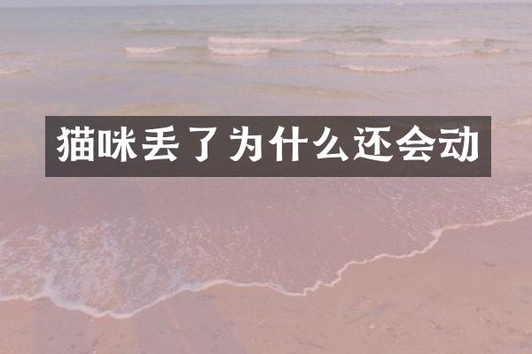 猫咪丢了为什么还会动