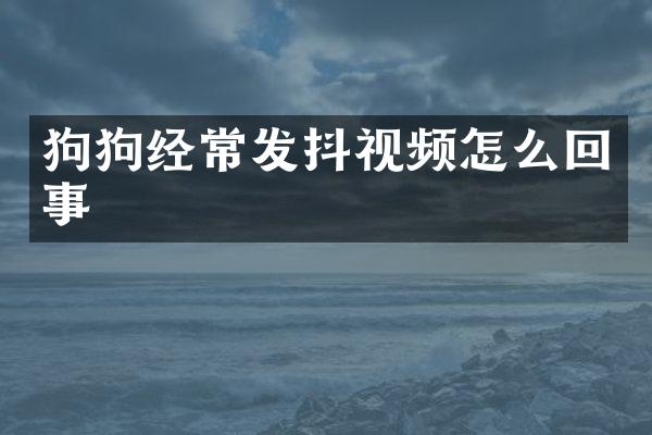 狗狗经常发抖视频怎么回事
