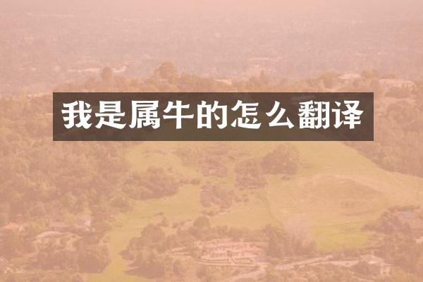 我是属牛的怎么翻译