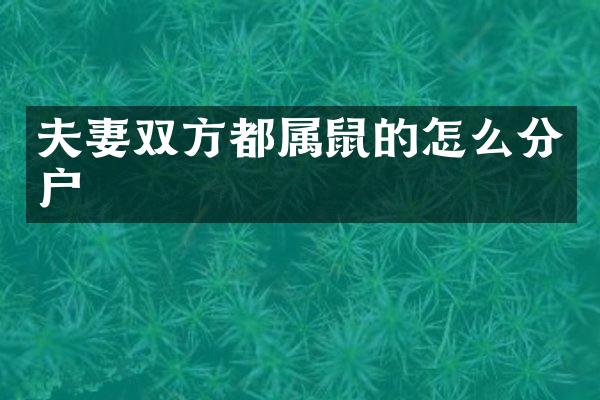 夫妻双方都属鼠的怎么分户