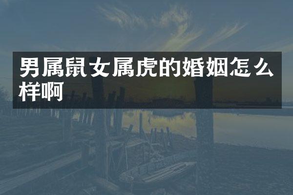 男属鼠女属虎的婚姻怎么样啊