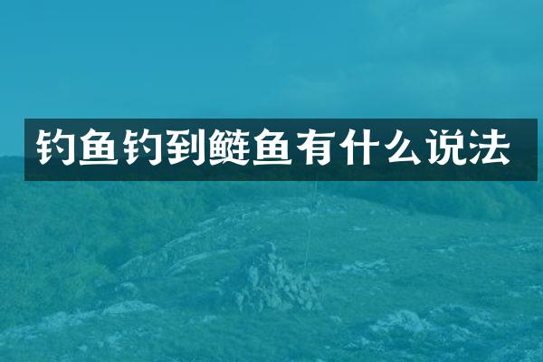 钓鱼钓到鲢鱼有什么说法
