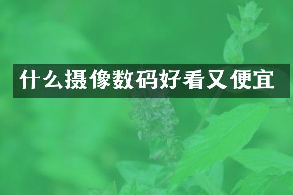 什么摄像数码好看又便宜
