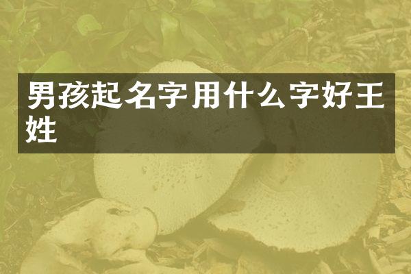 男孩起名字用什么字好王姓