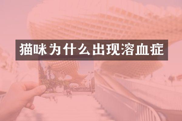 猫咪为什么出现溶血症