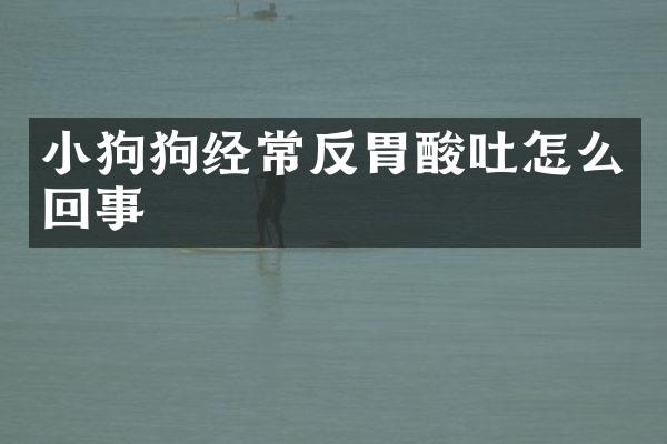 小狗狗经常反胃酸吐怎么回事