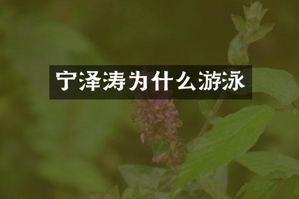 宁泽涛为什么游泳