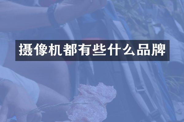 摄像机都有些什么品牌