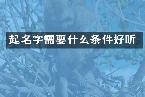 起名字需要什么条件好听
