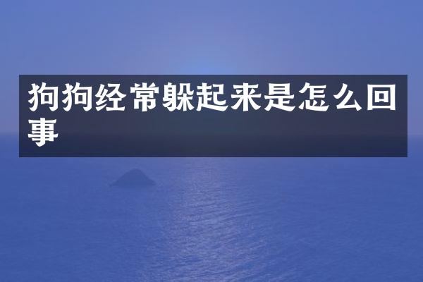 狗狗经常躲起来是怎么回事