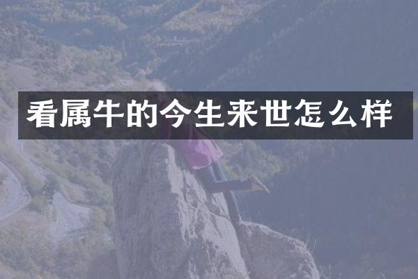 看属牛的今生来世怎么样