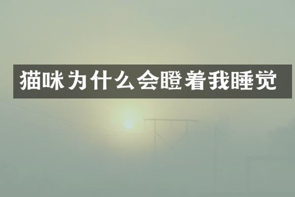 猫咪为什么会瞪着我睡觉