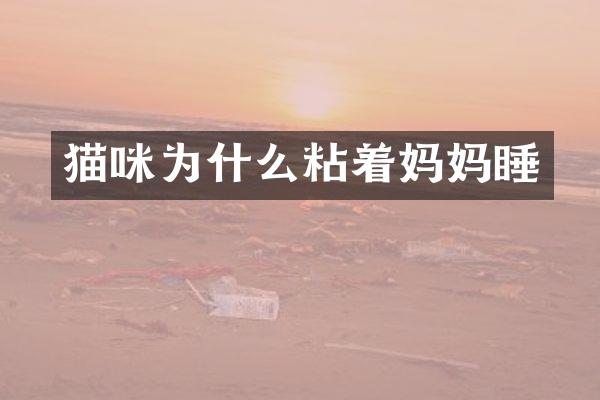 猫咪为什么粘着妈妈睡