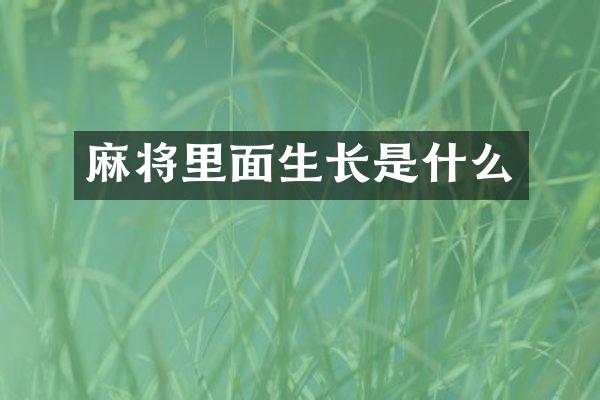 麻将里面生长是什么