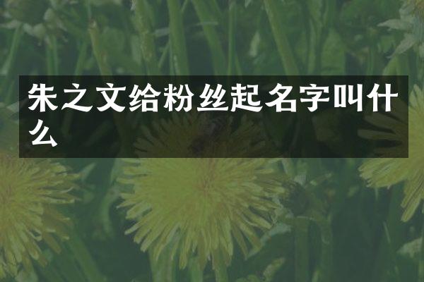 朱之文给粉丝起名字叫什么