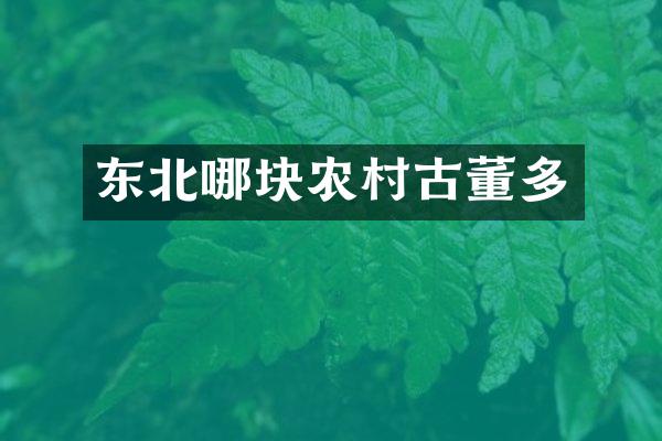 东北哪块农村古董多