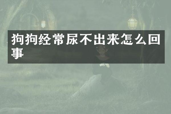 狗狗经常尿不出来怎么回事
