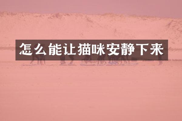 怎么能让猫咪安静下来