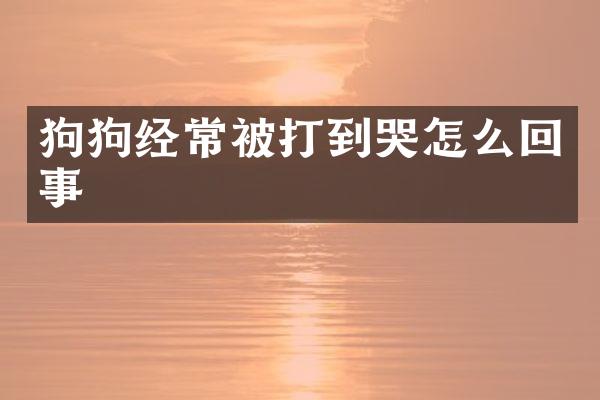 狗狗经常被打到哭怎么回事