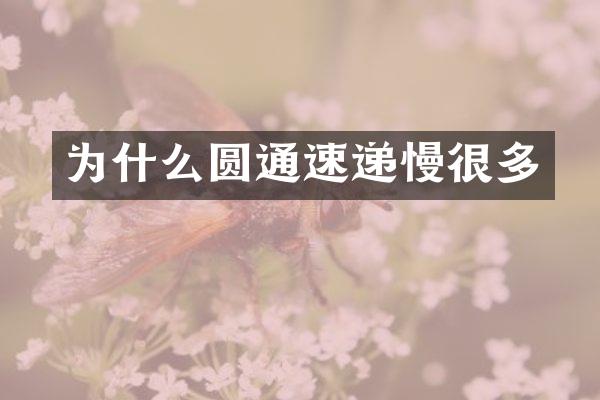 为什么圆通速递慢很多