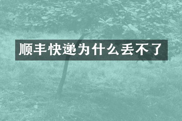 顺丰快递为什么丢不了