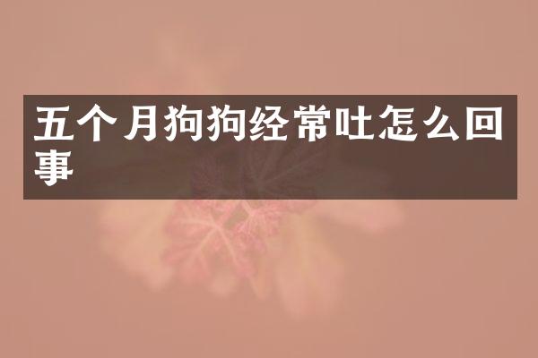 五个月狗狗经常吐怎么回事