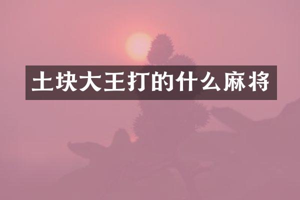 土块大王打的什么麻将