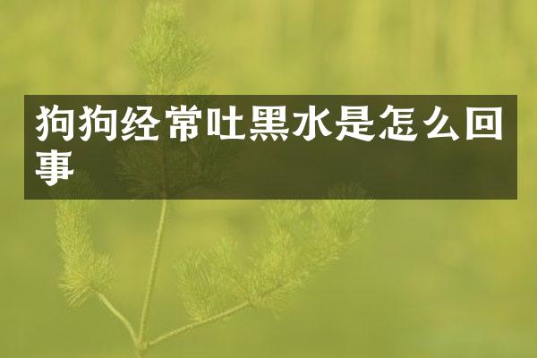 狗狗经常吐黑水是怎么回事