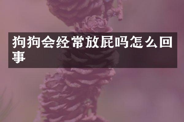 狗狗会经常放屁吗怎么回事