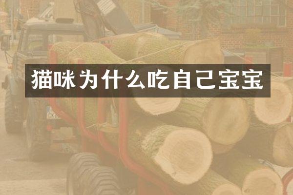 猫咪为什么吃自己宝宝