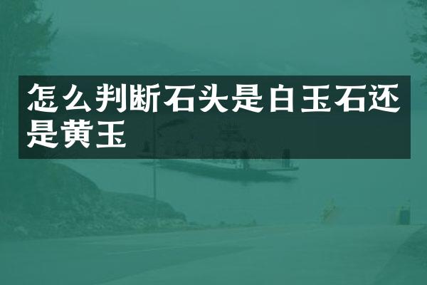 怎么判断石头是白玉石还是黄玉