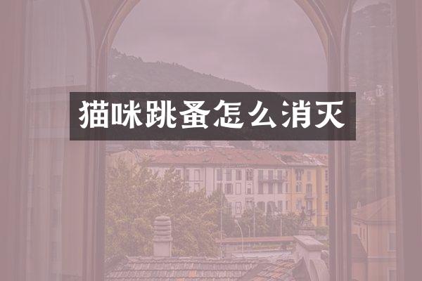猫咪跳蚤怎么消灭